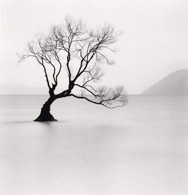 Michael Kenna, Wanaka Lake Tree, Study 1, Otago, New Zealand, 2013