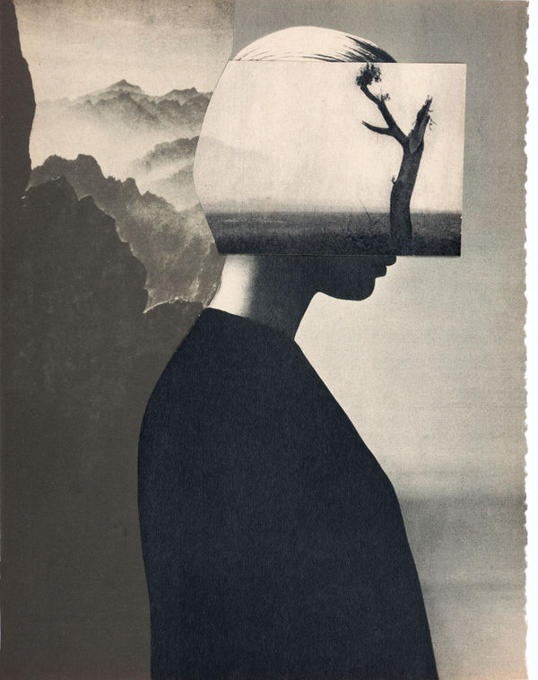 Miriam Tölke, Tree line, 2022