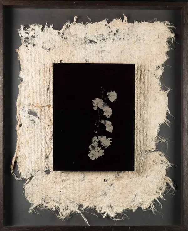 Steffen Diemer, Blüten, WVZ 1059, 2024