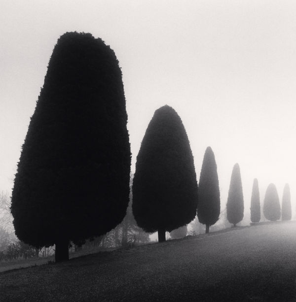 Michael Kenna, Seven Trees, Castello di Canossa, Italy, 2007