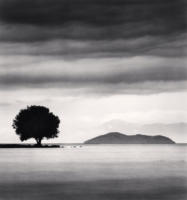 Michael Kenna, Biwa Lake Tree, Study 4, Omi, Honshu, Japan, 2003