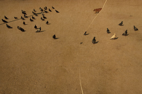 Albarrán Cabrera, Kairos, #4016, 2012