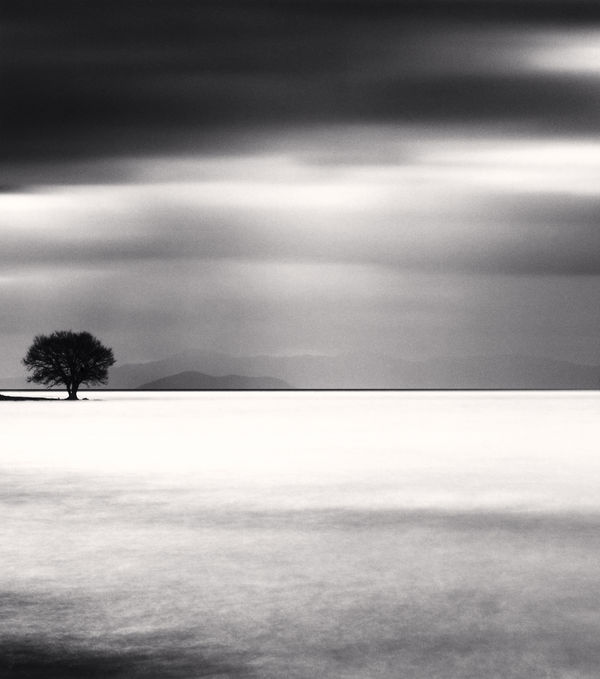 Michael Kenna, Biwa Lake Tree, Study 5, Omi, Honshu, Japan, 2012
