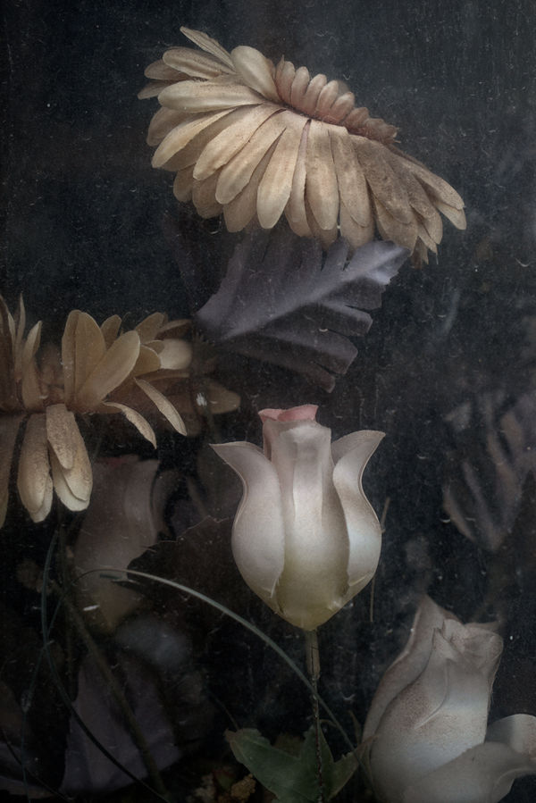 Christopher Thomas, Eternity 36, Cordoba, Spain, 2008