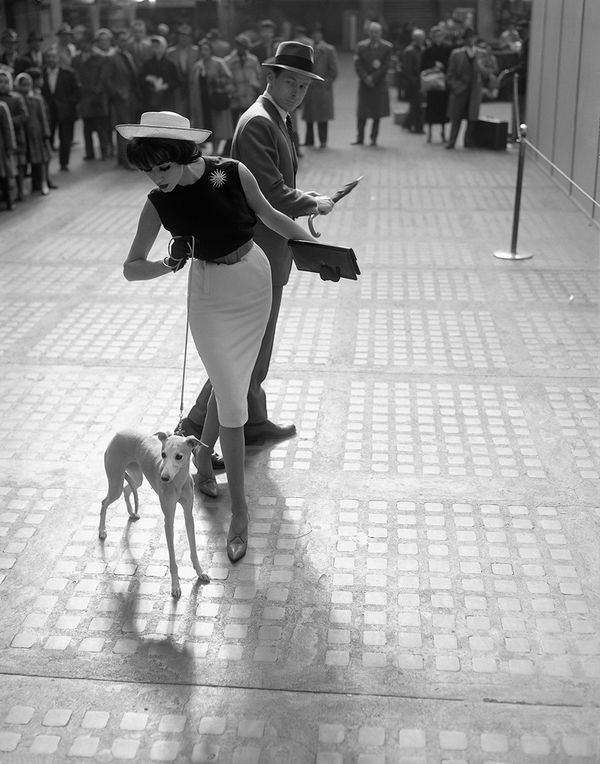 William Helburn, Simone D´Aillencourt with Whippet, Penn Station, NYC, ca. 1959