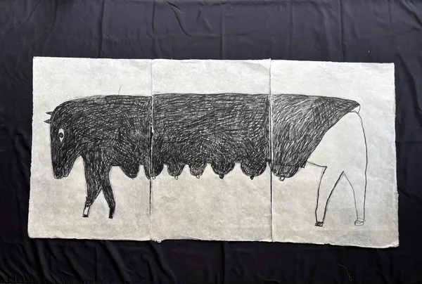 Jumaadi, Sapi Betina / Al Bahara, 2026