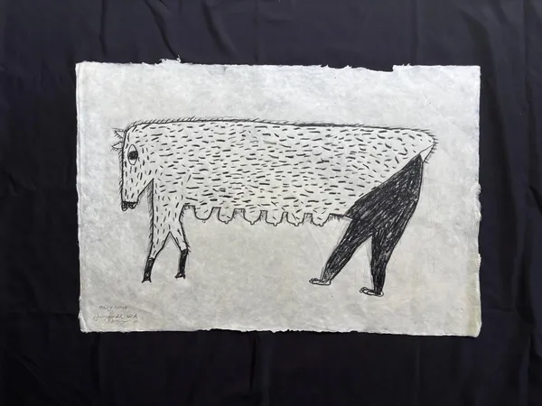 Jumaadi, Hairy Coat, 2026