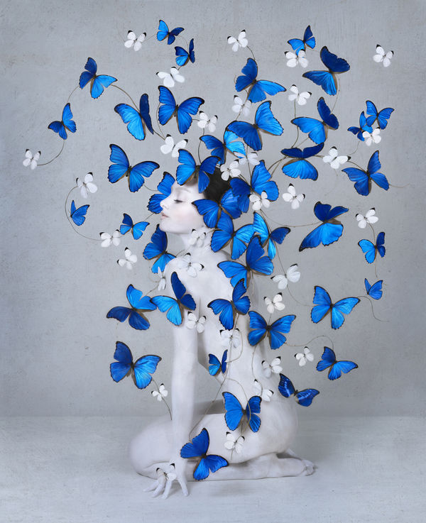 Isabelle van Zeijl, LIGHTBORNE, 2026