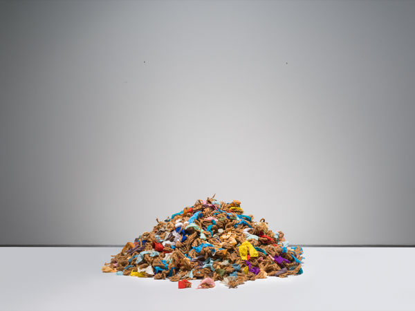 Hassan Sharif, Coir and Cloth, 2007