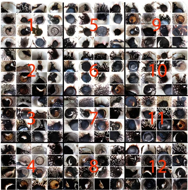 Lara Baladi, Relative Destinies, 2008