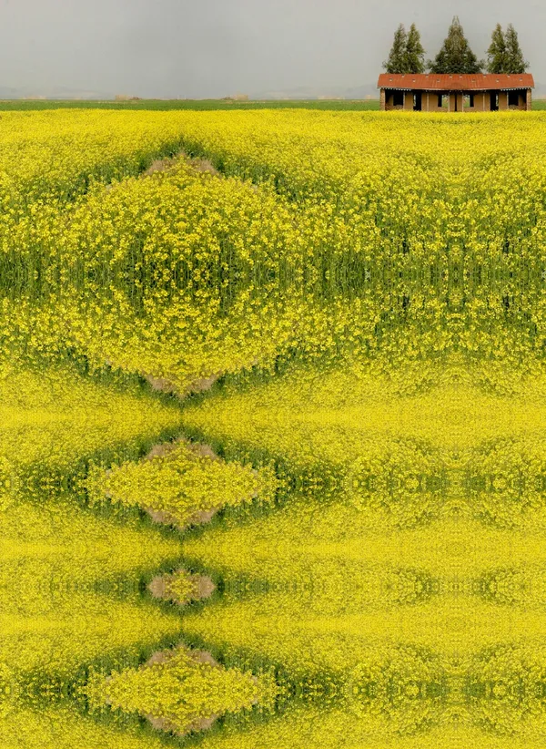 Ramin Haerizadeh, Wonders of Nature, 2006-2007