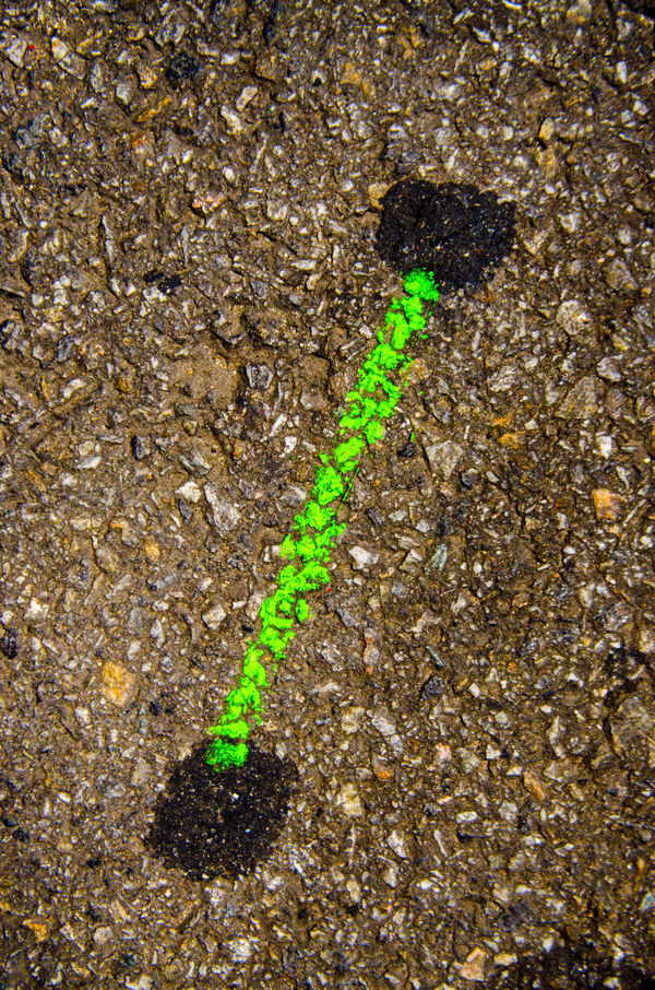 Mohammed Kazem, Kisses, 2017