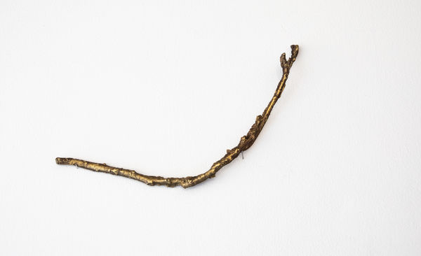 Fereydoun Ave, Untitled, 2025