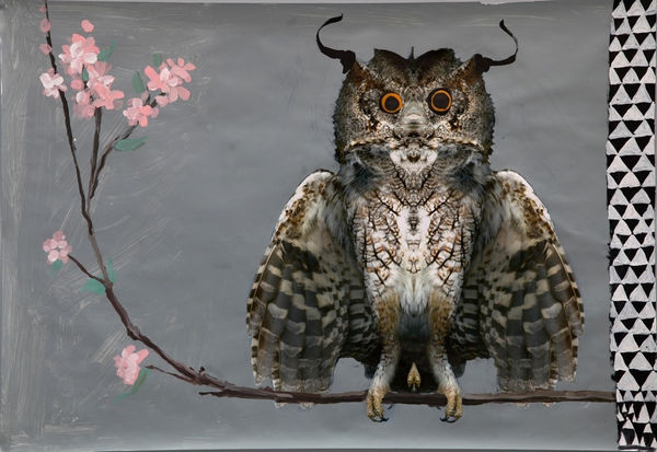 Ramin Haerizadeh, Rokni Haerizadeh and Hesam Rahmanian, Owl, 2014