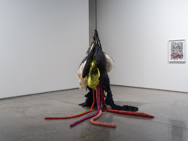 Hoda Tawakol, Lure N°30, 2024