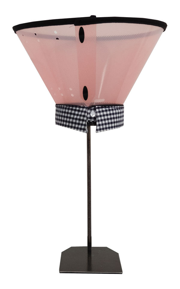 Hesam Rahmanian, Collar/Collar, 2018