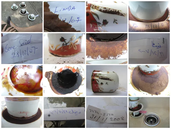 Lara Baladi, Chronologie - III, 2008