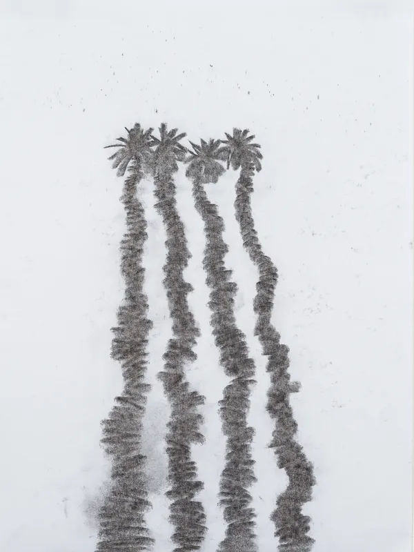 Mohammad Alfaraj, Sisters/brothers, 2024