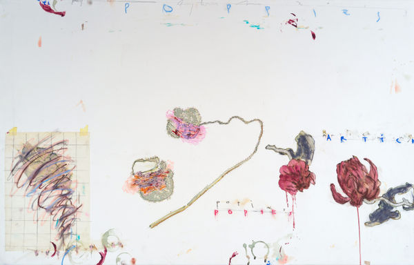 Fereydoun Ave, Poppies and Artichokes , 2013