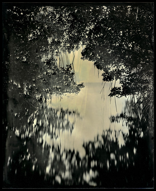Charlie McCullers & Cecilia Montalvo, Barrier Island, Study 10, 2018