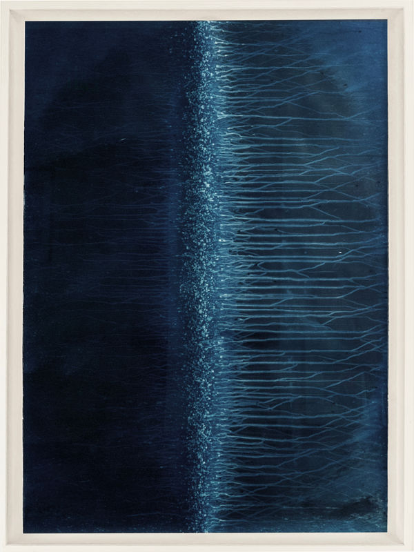 Meghann Riepenhoff Ecotone #346 (Bainbridge Island, WA 03.11.18 + 03.17.18, Rain Falls in Every Direction), 2018