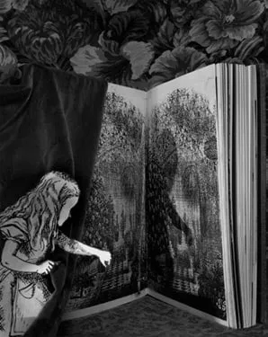 Abelardo Morell, The Loveliest Garden I Ever Saw, Alice
