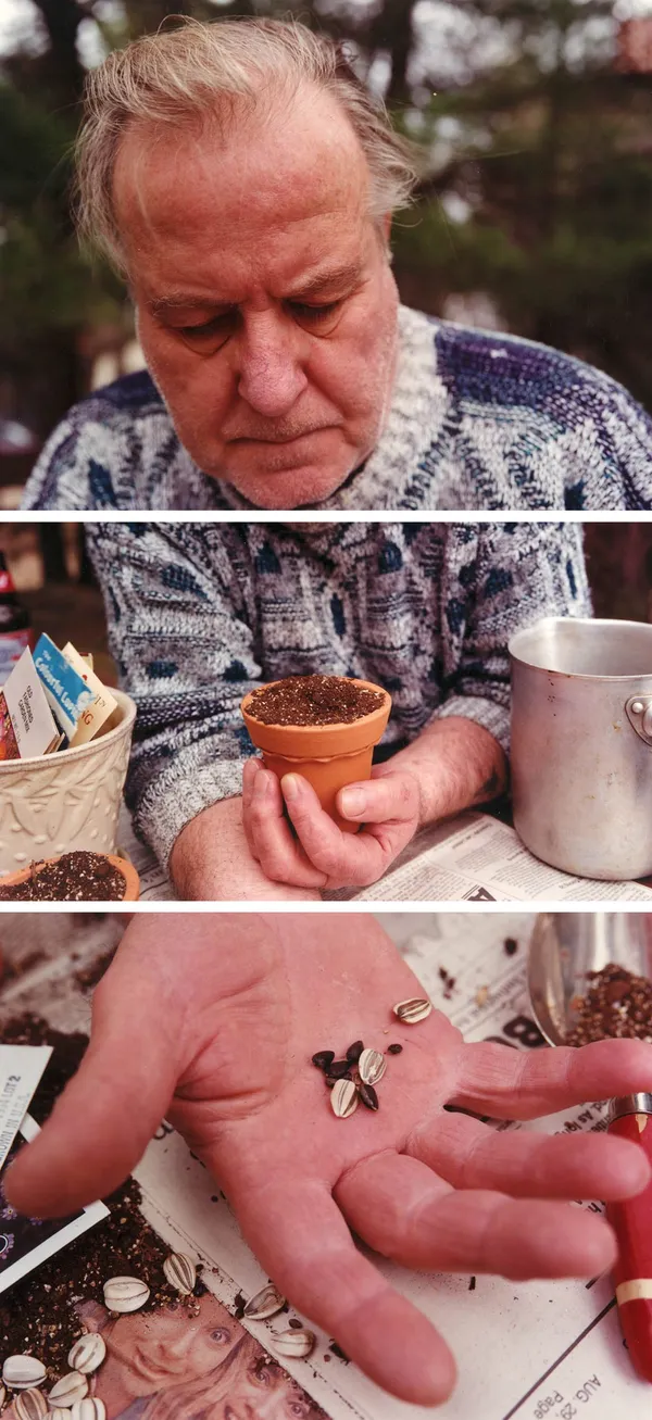 David Hilliard, Miracle, 1994