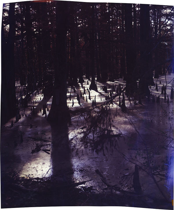 John Chiara, Austin Road at Beaver Dam Lake V1, 2017