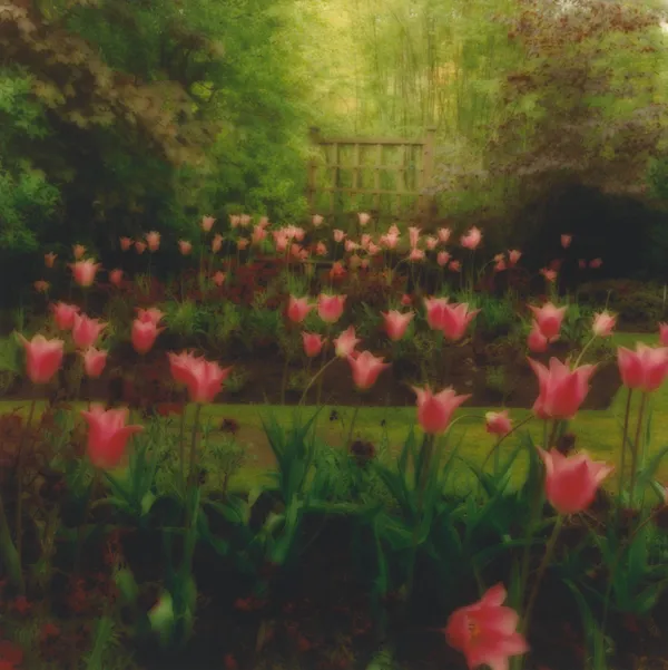 Lynn Geesaman, Crathes Castle Gardens, Scotland, (6-94-24c-12), 1994