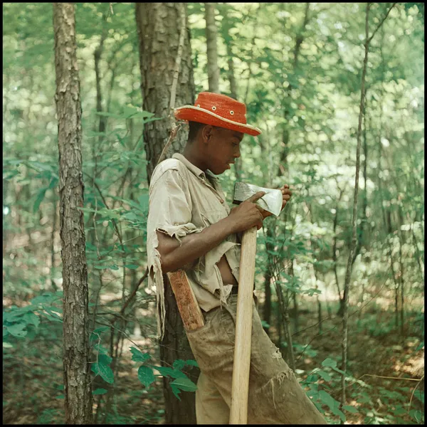 Gordon Parks, Untitled, Shady Grove, Alabama (37.149), 1956