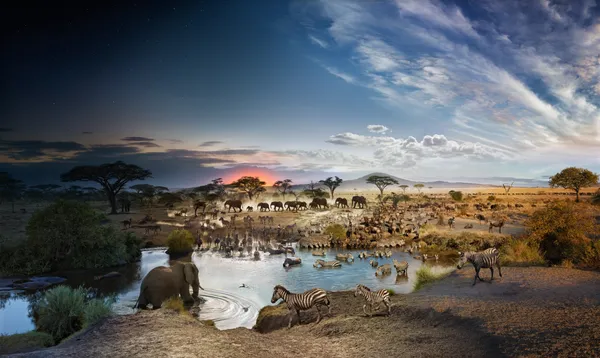 Stephen Wilkes, Serengeti National Park, Tanzania, Day to Night, 2015