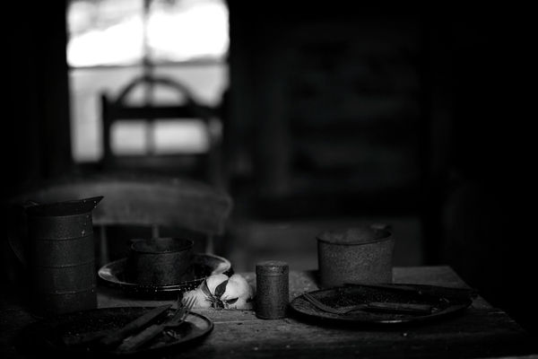 Sheila Pree Bright, Cotton, 2019