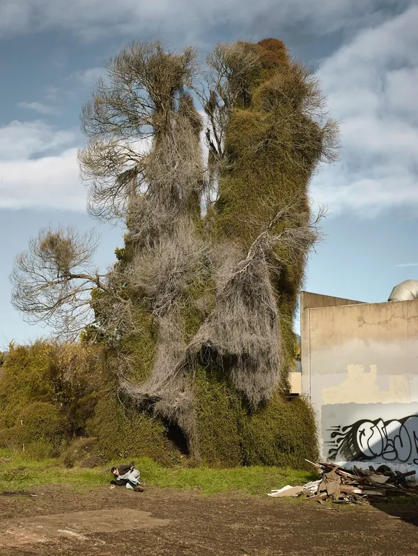 Tabitha Soren, Eric, Running 006007, 2012