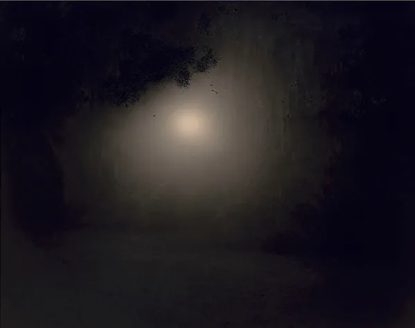 Sally Mann, Untitled #7 from Deep South, 1998