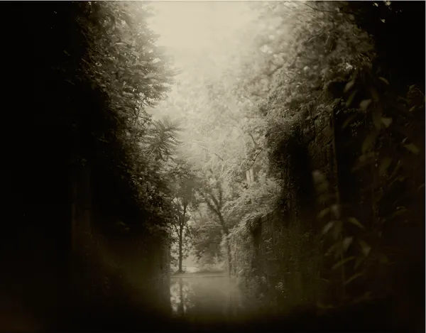 Sally Mann, Untitled (Virginia), from Mother Land, 1994