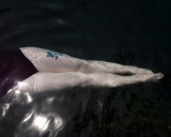 Cig Harvey, Plum Suit, Quarry, St George, Maine, 2018