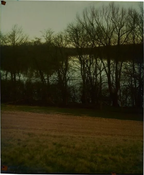 John Chiara, Levee at Horshoe Lake, 2013