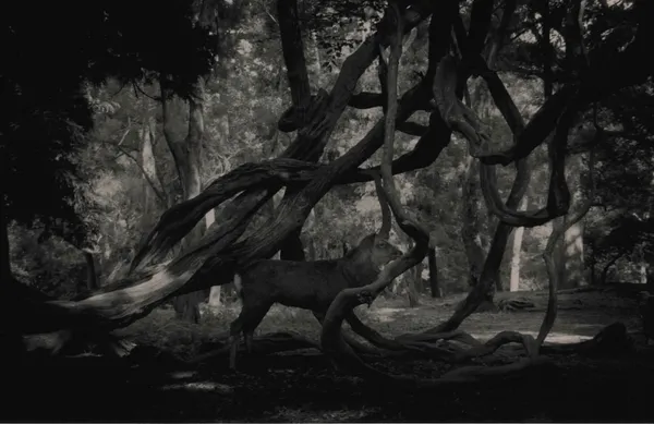 Yamamoto Masao, Kawa=Flow #1546