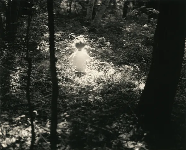 Yamamoto Masao, Kawa=Flow #1565