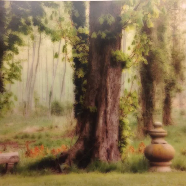 Lynn Geesaman, Parc de Jeurre, France (4-99-13c-5), 1999