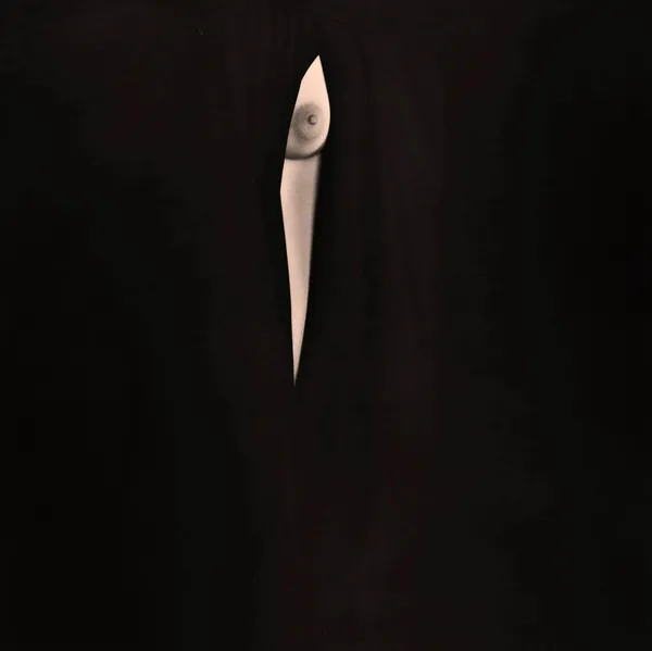 Yamamoto Masao, Nakazora #1400, 2006