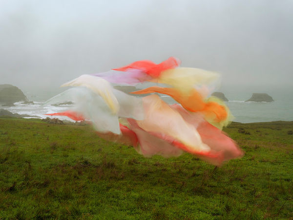 Thomas Jackson, Silk no. 8, Fort Bragg, California, 2025