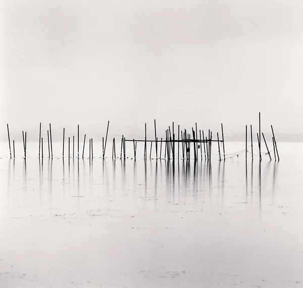 Michael Kenna, Sixty Five Posts, Biwa Lake, Honshu, Japan, 2003