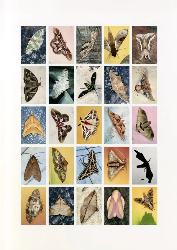 Emmet Gowin, Mariposas Nocturnas, Index No. 35, Potrerillos del Guenda, Santa Cruz, Bolivia, October, 2010