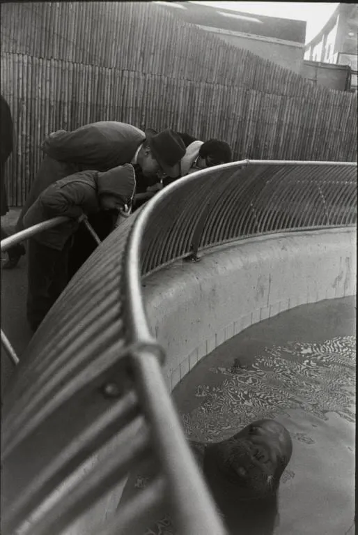 Garry Winogrand, New York City (people leaning over railing, sea lion) Garry Winogrand Portfolio, Hyperion Press, 1978, 1964