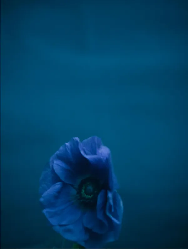 Erik Madigan Heck, At Evening's Close, 2021