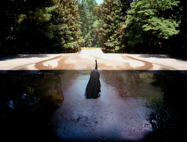 Jody Fausett, Carport, 2008