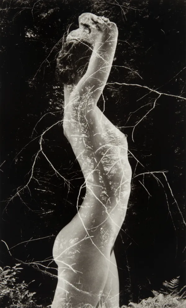 Ruth Bernhard, Symbiosis, 1971