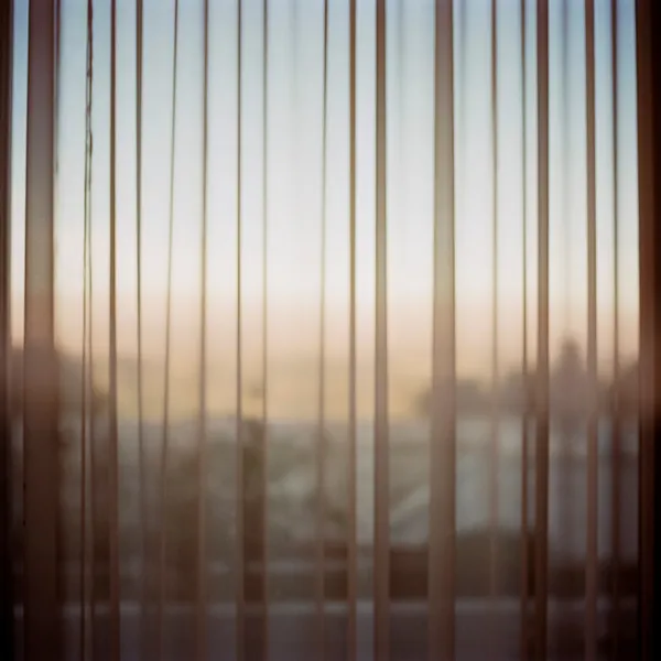 Mona Kuhn, Thundersmesa, 2012-2013