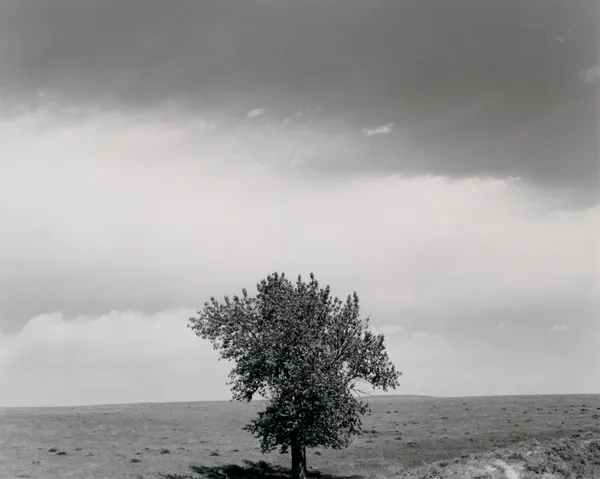 Robert Adams, Pawnee National Grasslands, Colorado, 1984